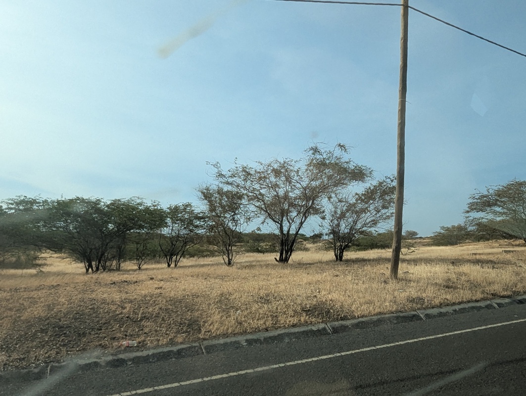 image-02