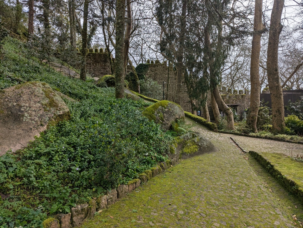 image-25